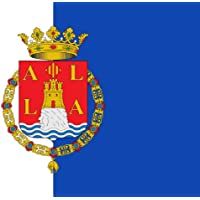 Los mejores  - Durabol Bandera de Alicante 150x90cm Satén